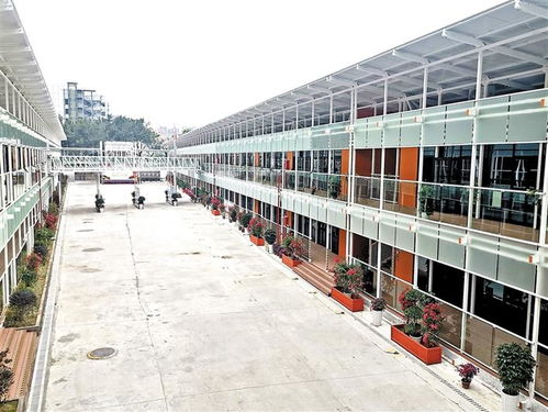 龙华区教育升级 新校建设“加速度”，老校扩容成效显新型环保建材应用亮眼